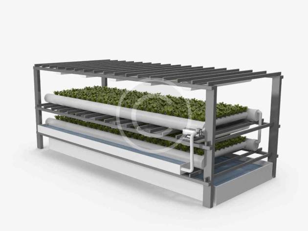Aeroponic system